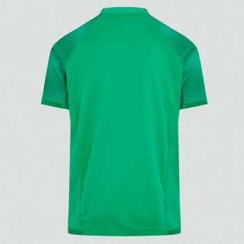 Ireland Men's Vapodri Home Pro Rugby Jersey 2022-23