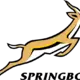 Springboks