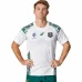 Australia Mens Away Rugby World Cup Jersey 2023