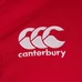 CCC British And Irish Lions Pro Rugby Jersey 2021