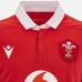 Wales Mens Home Rugby Jersey 2023